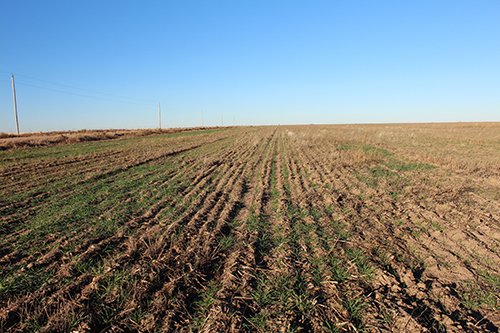 TRACT 3 - REAL ESTATE & MINERAL AUCTION - 640+/- ACRES & PRODUCING MINERALS OFFERED IN 8 TRACTS IN MORTON COUNTY, KANSAS